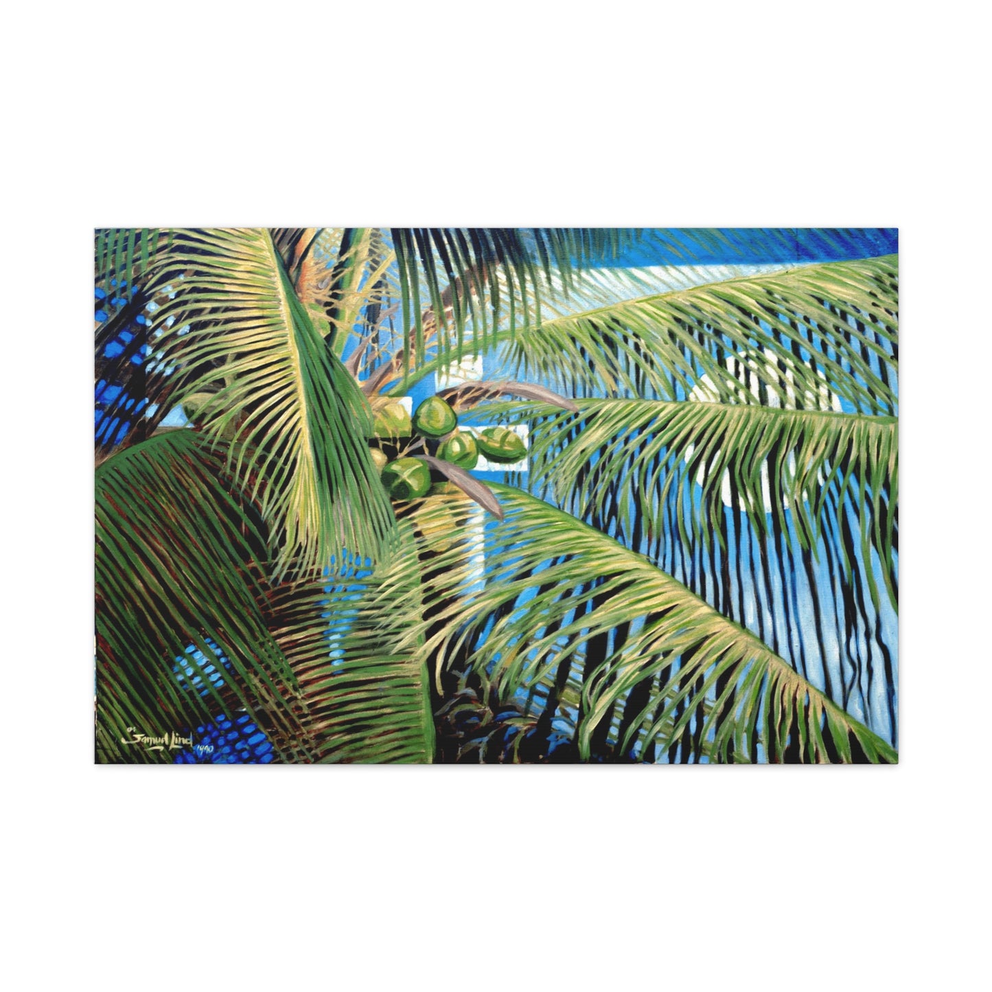 Palma by Samuel Lind - Lind Studios